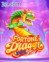 yd555